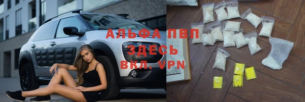хмурый Верея