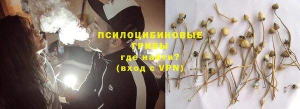 ешки Володарск