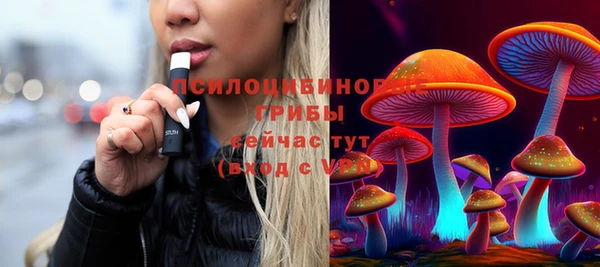 хмурый Верея