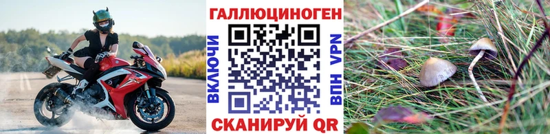 Псилоцибиновые грибы Psilocybe  Купить закладки  Ливны 